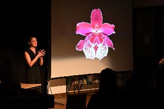 image diaporama De la sexualité des Orchidées 