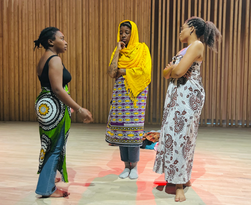 image vignette de l'événement Elles avant nous 